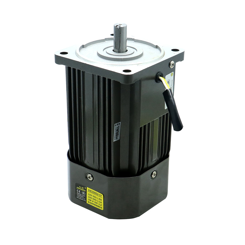 HLTNC 250W Micro AC Motor 110v 220v Single Phase Asynchronous Motor Gear Motor 15mm Motor Shaft 5-1400RPM 50/60hz For Packing Machine